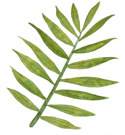 level-dekor-02