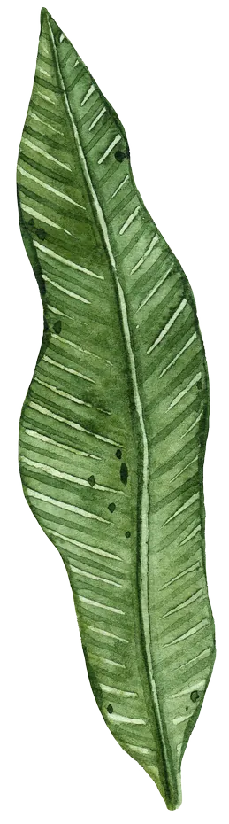 level-dekor-07