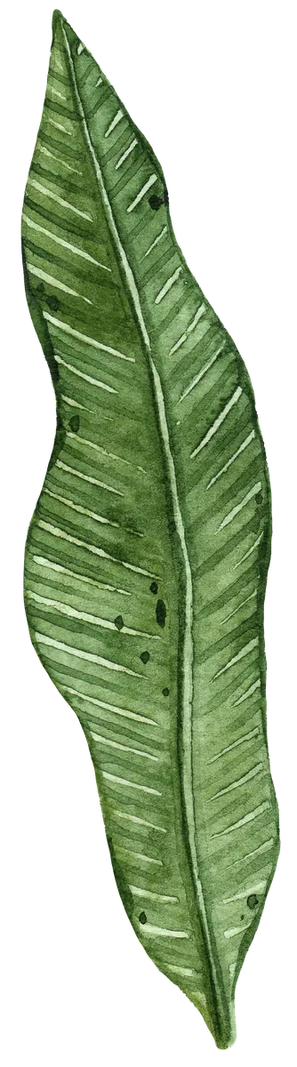 level-dekor-07
