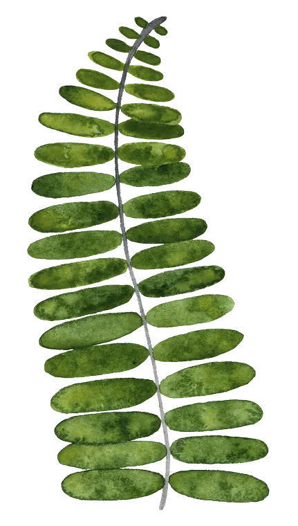 level-dekor-11