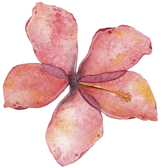 tropusi-virag-voros